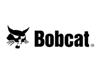 Bobcat